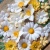 Набор цветов "Летний" от Кубышкина лавка, 31 элемент