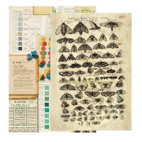 Лист двусторонней бумаги Бабочки к коллекции ОКНА ДУШИ, 250 г/м2, от Eclectica