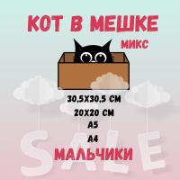 КОТ В МЕШКЕ! "МИКС, МАЛЬЧИКИ"