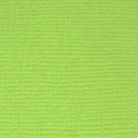Текстурированный кардсток Зелёное яблоко (ярко-зелёный), 30,5х30,5 см, 216 г/кв.м, от Mr.Painter