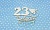 ПРЕДЗАКАЗ! Чипборд Надпись "23 февраля" с самолетом 7-3, Goldenchip