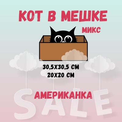 КОТ В МЕШКЕ! "МИКС, АМЕРИКАНКА"
