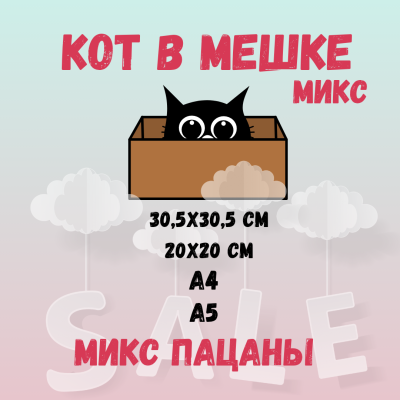 КОТ В МЕШКЕ! "ПАЦАН МИКС, подростковый"
